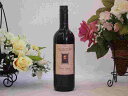 ミケランジェロ　赤ワイン（イタリア）750ml