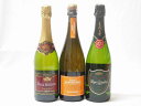 【第2弾】世界のスパークリングワイン飲み比べ!辛口3本セット(スペイン、フランス、イタリア泡ワイン3本セット