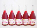 【最大2000円オフクーポン26日1:59迄】5本セット 鍛高譚の梅酒(たんたかたんのうめしゅ) 12度 720ml×5本
