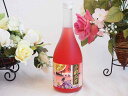 【最大2000円オフクーポン26日1:59迄】しそ焼酎 赤鍛高譚 20度 720ml×1本