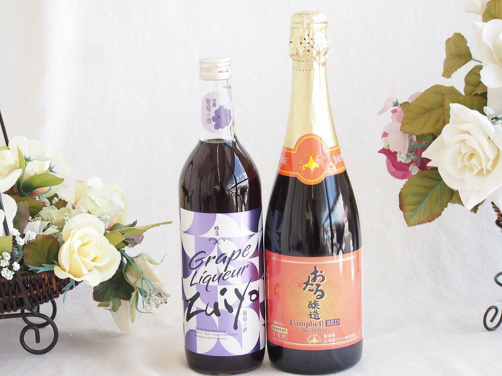 みずみずしくジューシーな風味の葡萄酒と国産ワインセット(おたる醸造 キャンベル赤スパークリングワインやや甘口(北海道)720ml瑞鷹葡萄の酒10度(熊本県)720ml