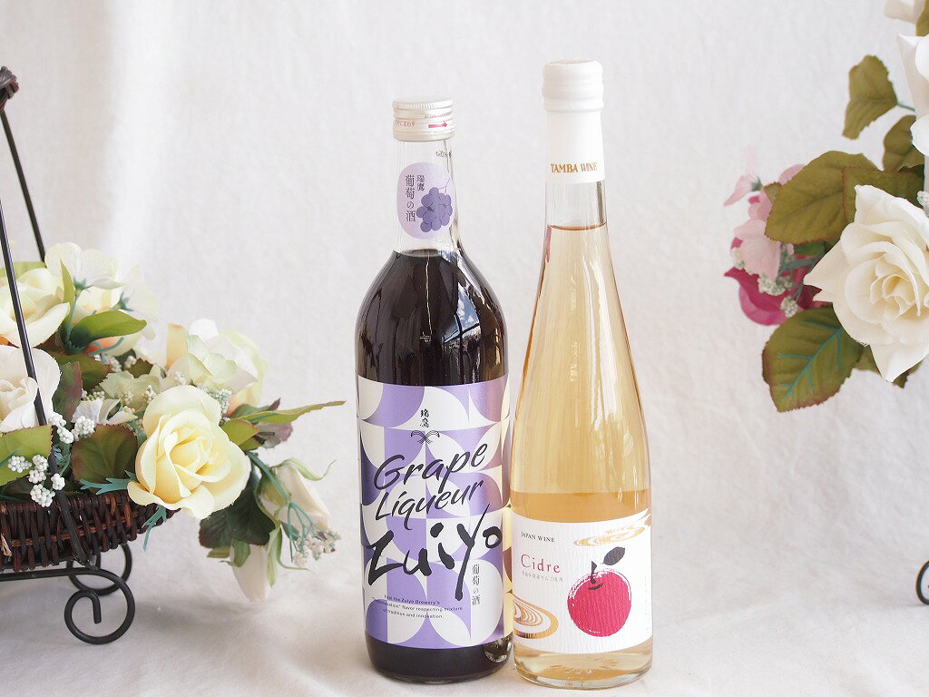 みずみずしくジューシーな風味の葡萄酒と国産ワインセット(青森弘前産りんご使用 シードルワインやや甘口(京都府)500ml瑞鷹葡萄の酒10度(熊本県)720ml