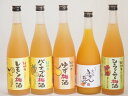 果物梅酒5本セット(国産シークァーサー梅酒 和歌山県産レモン