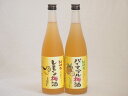 果物梅酒2本セット(和歌山県産レモン梅酒 沖縄県産パイナップル梅酒) 720ml×2本