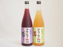 果物梅酒2本セット(岩手県産ブルーベリー梅酒 国産シークァーサー梅酒) 720ml×2本果物梅酒2本セット(岩手県産ブルーベリー梅酒 国産シークァーサー梅酒) 720ml×2本