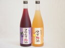 果物梅酒2本セット(岩手県産ブルーベリー梅酒 ぷかぷか柚子の香りゆず梅酒) 720ml×2本果物梅酒2本セット(岩手県産ブルーベリー梅酒 ぷかぷか柚子の香りゆず梅酒) 720ml×2本