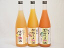 果物梅酒3本セット(5種の和歌山県産柑橘ミックス梅酒 ぷかぷか柚子の香りゆず梅酒 7種の国産野菜ミックス梅酒) 720ml×3本