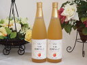 りんご果汁100%2本セット(信州りんご果汁100%) 710ml×2本