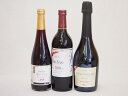 有機ワインとノンアルコールワイン3本セット(ヴァンフリーノンアルコール赤ワイン ヴァンフリースパークリング赤 スペイン産ビオスパークリングワインBio赤) 720ml×1本 750ml×1本 500ml×1本