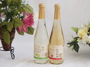 国産フルーツワイン2本セット(シャインマスカット&ナイアガラ 信州林檎) 500ml×2本