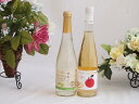 国産フルーツワインと梅酒2本セット(シャインマスカット&ナイアガラ シードルCidre) 500ml×2本