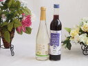 フルーツワイン2本セット(シャインマスカット&ナイアガラ グレープ&ブルーベリー) 500ml×2本