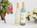 国産フルーツワインと梅酒2本セット(シャインマスカット&ナイアガラ 信州小梅酒) 500ml×2本