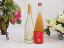 国産フルーツワインとフルーツ梅酒2本セット(シャインマスカット&ナイアガラ りんご梅酒) 500ml×2本