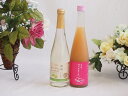 国産フルーツワインとフルーツ梅酒2本セット(シャインマスカット&ナイアガラ もも梅酒) 500ml×2本