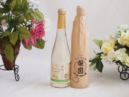 果物酒2本セット(シャインマスカット＆ナイアガラ なしの梨園) 500ml×2本