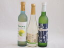 国産フルーツワインと梅酒3本セット(シャインマスカット&ナイアガラ 京都青谷梅わいん 信州小梅酒) 500ml×3本