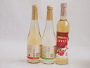 フルーツワイン3本セット(シャインマスカット&ナイアガラ アップルワイン 信州林檎) 500ml×3本