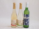フルーツワイン3本セット(シャインマスカット&ナイアガラ 京都青谷梅わいん 信州林檎) 500ml×3本