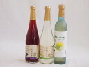 フルーツワイン3本セット(シャインマスカット&ナイアガラ 信州小梅酒 信州巨峰) 500ml×3本