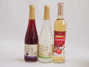 フルーツワイン3本セット(シャインマスカット&ナイアガラ アップルワイン 信州巨峰) 500ml×3本
