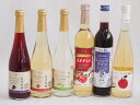 選りすぐりフルーツワイン6本セット(シャインマスカット&ナイアガラ シードルCidre グレープ&ブルーベリー アップルワイン 信州林檎 信州巨峰)