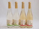 フルーツワイン4本セット(シャインマスカット&ナイアガラ 信州林檎) 500ml×4本