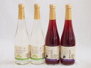 フルーツワイン4本セット(シャインマスカット&ナイアガラ 信州巨峰) 500ml×4本