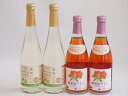 フルーツワイン4本セット(シャインマスカット&ナイアガラ おたる微発泡キャンベルロゼ) 500ml×4本