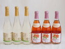 フルーツワイン6本セット(シャインマスカット&ナイアガラ おたる微発泡キャンベルロゼ) 500ml×6本