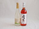 甘味フルーツワイン2本セット(シャインマスカット&ナイアガラ おたるロゼ) 500ml×1本 720ml×1本