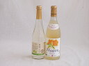 甘味フルーツワイン2本セット(シャインマスカット&ナイアガラ おたる完熟ナイアガラ白) 500ml×1本 720ml×1本