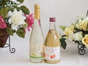 国産果物ワイン2本セット(シャインマスカット＆ナイアガラ 信州のりんご) 500ml×2本