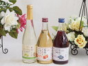 国産果物ワイン3本セット(シャインマスカット&ナイアガラ 信州のりんご 信州の巨峰) 500ml×3本
