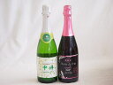 【最大2000円オフクーポン11日1:59迄】山梨県産ワインと2本セット スパークリング白ワイン勝沼仕込みの甲州スパークリングワイン(やや辛口)11.5°(山梨県)720mlスパークリングロゼワインブラッククイーンピンク12°(長野県)750ml(4)