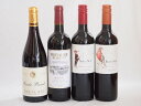 フランス×チリ赤ワイン4本セット(デルスールカベルネ(チリ) デルスールカルメネール(チリ) シュバリエ・デュ・ルヴァン ルージュ(フランス) パスカルシータキ...