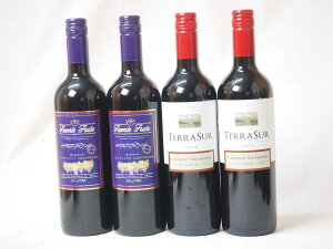 チリ赤ワイン カベルネソーヴィニヨン4本セット(フエンテ2本テラ・スル2本)計4本