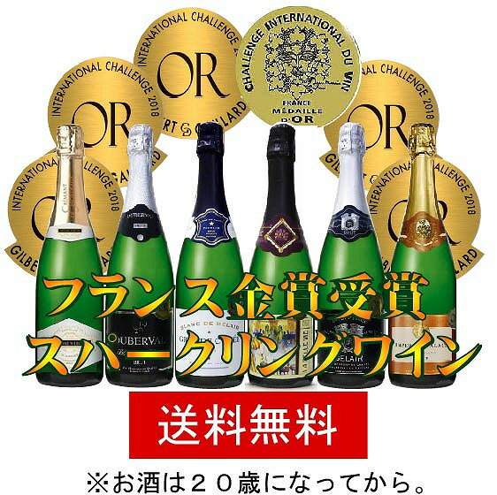 【最大2000円オフクーポン16日1:59迄】3セット ALLフランス金賞受賞スパークリングワイン6本セット 750ml×18本