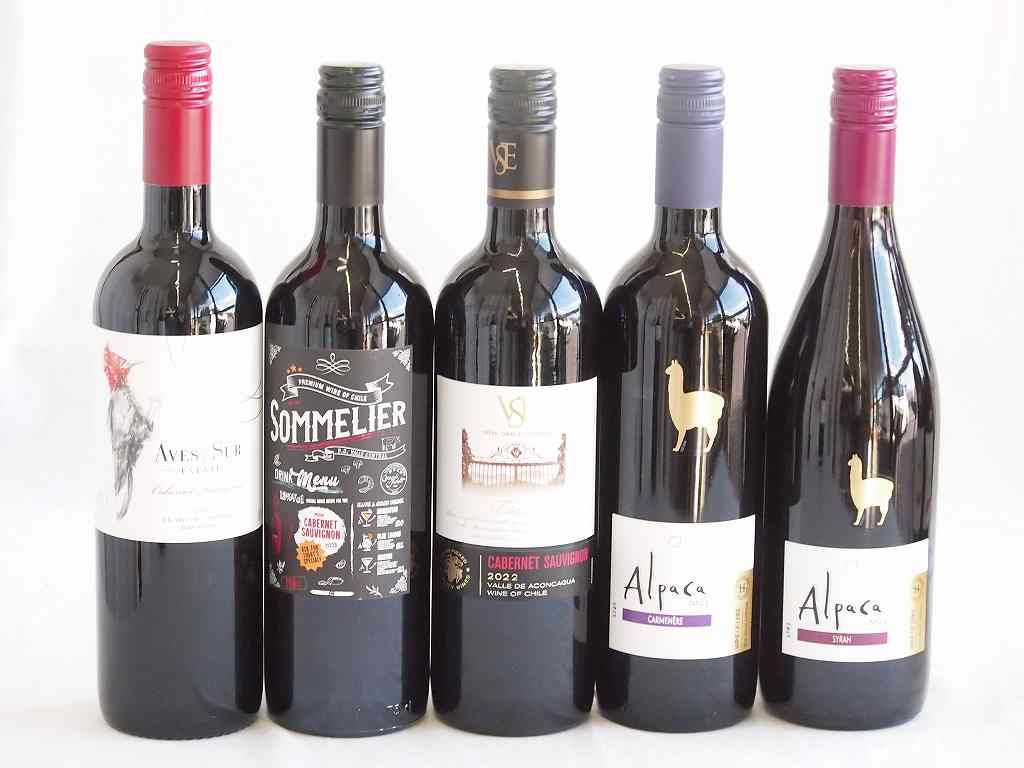 しっかりした存在感チリ赤ワイン 5本セット(クレマスキ ソムリエ カベルネ ソーヴィニヨン クラシック ..