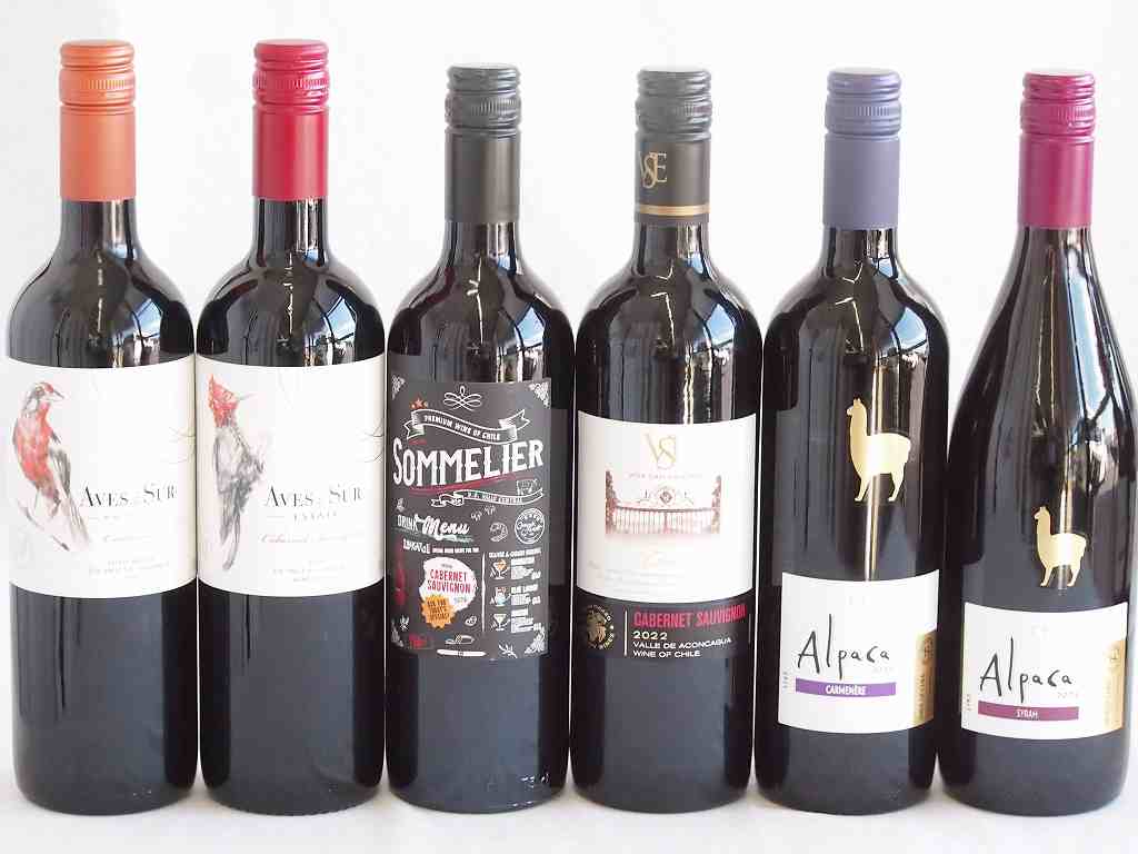 しっかりした存在感チリ赤ワイン 6本セット(クレマスキ ソムリエ カベルネ ソーヴィニヨン クラシック ..