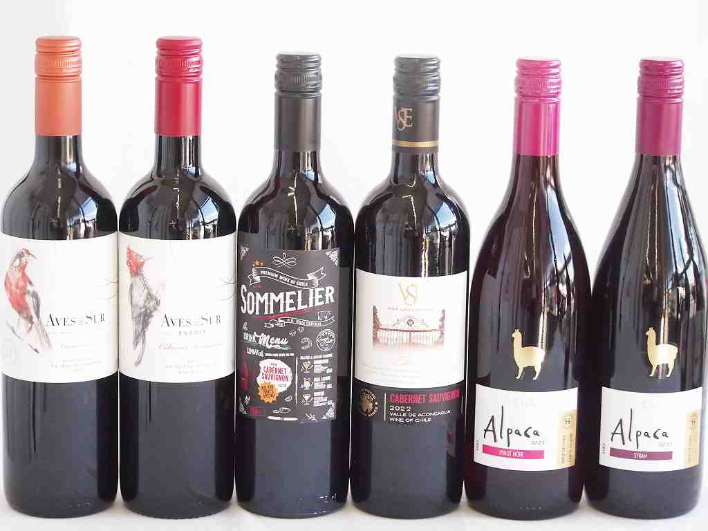 しっかりした存在感チリ赤ワイン 6本セット(クレマスキ ソムリエ カベルネ ソーヴィニヨン クラシック ..