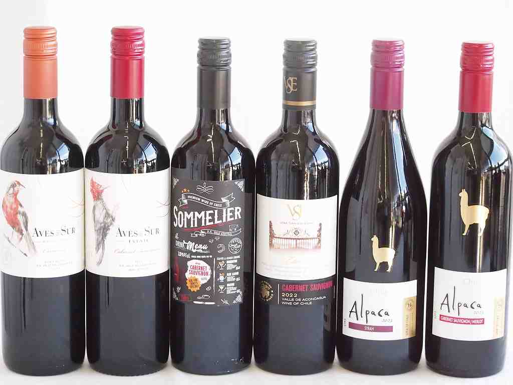 しっかりした存在感チリ赤ワイン 6本セット(クレマスキ ソムリエ カベルネ ソーヴィニヨン クラシック ..