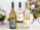 爽やかな酸味のチリ辛口白ワイン 3本セット(クラシック ソーヴィニヨン ブラン アルパカ ソーヴィニヨン ブラン フエンテ フルータ シャルドネ) 750ml×...