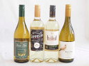爽やかな酸味のチリ辛口白ワイン 4本セット(フルロッティ ソムリエ シャルドネ クラシック ソーヴィニヨン ブラン デル スール シャルドネ フエンテ フルータ...