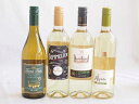 爽やかな酸味のチリ辛口白ワイン 4本セット(フルロッティ ソムリエ シャルドネ クラシック ソーヴィニヨン ブラン アルパカ ソーヴィニヨン ブラン フエンテ ...