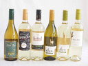 爽やかな酸味のチリ辛口白ワイン 6本セット(フルロッティ ソムリエ シャルドネ クラシック ソーヴィニヨン ブラン デル スール ソーヴィニヨン ブラン アルパ...