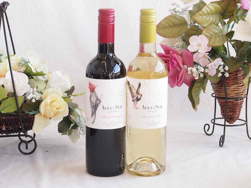 人々に愛されチリ赤白ワイン 2本セット(デル スール ソーヴィニヨン・ブラン白 デル スール カベルネ ソーヴィニヨン赤) 750ml×2本