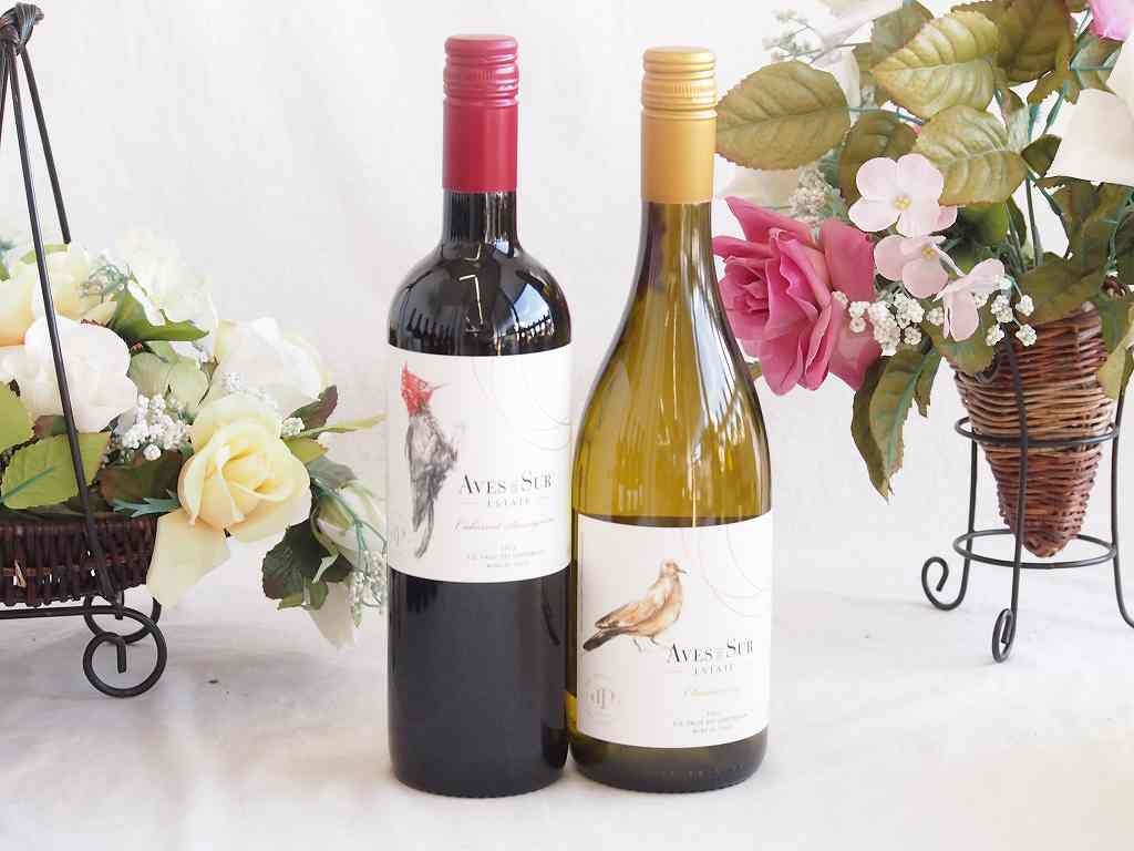 人々に愛されチリ赤白ワイン 2本セット(デル スール カベルネ ソーヴィニヨン赤 デル・スール シャルド..