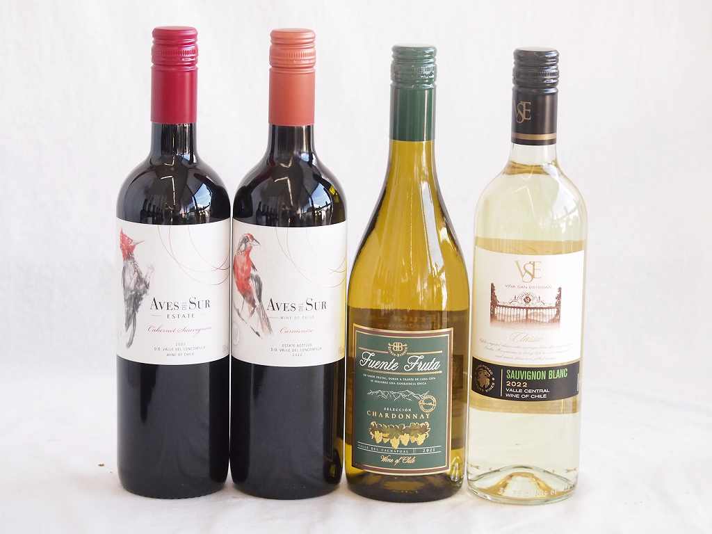 人々に愛されチリ赤白ワイン 4本セット(クラシックソーヴィニヨン・ブラン白 デル スール カベルネ ソーヴィニヨン赤 デル・スール カルメネール赤 フエンテ フルータ シャルドネ白) 750ml×4本