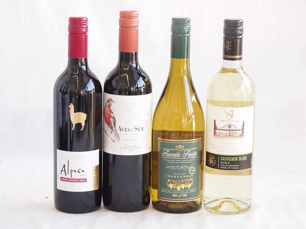 人々に愛されチリ赤白ワイン 4本セット(クラシックソーヴィニヨン・ブラン白 デル・スール カルメネール赤 アルパカ カベルネ・メルロー赤 フエンテ フルータ シャルドネ白) 750ml×4本